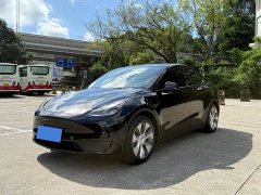 Tesla Model Y rear-wheel drive version - фото 1