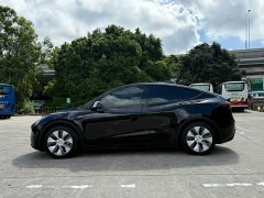Tesla Model Y rear-wheel drive version - фото 18