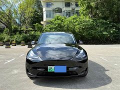 Tesla Model Y rear-wheel drive version - фото 2