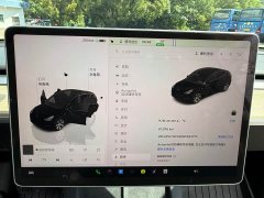 Tesla Model Y rear-wheel drive version - фото 6