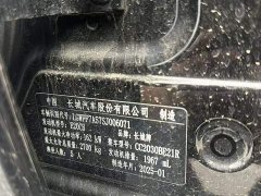 Tank 300 2.0T Gasoline Conqueror - фото 5