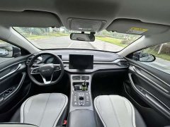 BYD Destroyer 05 Honor Edition DM-i 55KM Luxury Type - фото 13