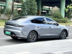 BYD Destroyer 05 Honor Edition DM-i 55KM Luxury Type - фото 7