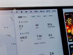 Li Auto Ideal L9 Max - фото 18