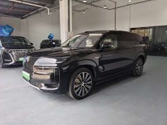 Denza N9 Honor Type - фото 1