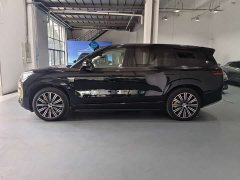 Denza N9 Honor Type - фото 3
