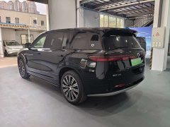 Denza N9 Honor Type - фото 4