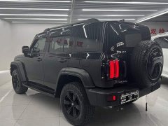 Tank 300 Off-Road Version 2.0T Conqueror - фото 4