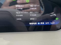 Zeekr 9X Ultra Edition 70kWh - фото 7
