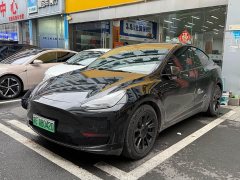 Tesla Model Y standard range rear-wheel drive version - фото 1