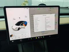 Tesla Model 3 standard range rear drive upgraded version 3D6 - фото 14