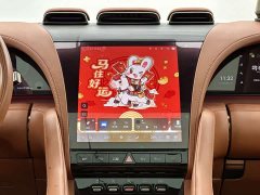 Lexus Looking up at U8 2023 Deluxe Edition - фото 14