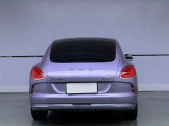 Lynk & Co Euler Lightning Cat 2022 555km Premium Edition - фото 5