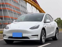 Tesla Model Y standard range rear-wheel drive version - фото 1