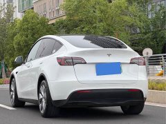 Tesla Model Y standard range rear-wheel drive version - фото 11