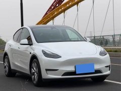 Tesla Model Y standard range rear-wheel drive version - фото 2