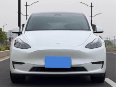 Tesla Model Y standard range rear-wheel drive version - фото 3