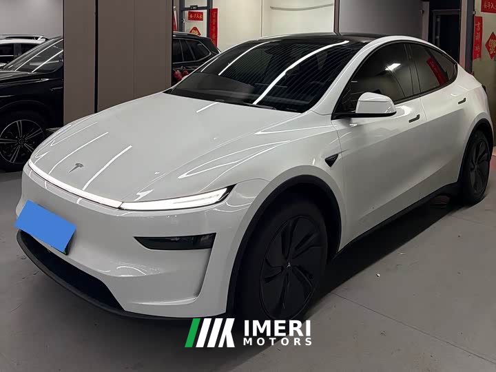 Tesla Model Y rear-wheel drive version - автомобиль из Китая