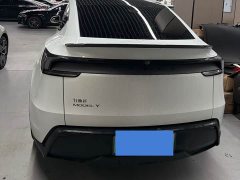 Tesla Model Y rear-wheel drive version - фото 12