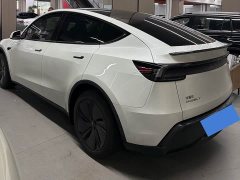 Tesla Model Y rear-wheel drive version - фото 13