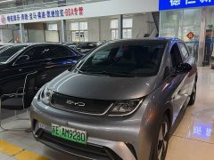 BYD Dolphin 420km Fashion Edition - фото 1