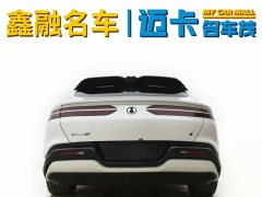 Denza Z9GT 1100 four-wheel drive Ultra version - фото 4