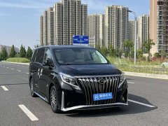 Trumpchi M8 2021 Master Series 390T Four-Seater Imperial Edition - фото 11