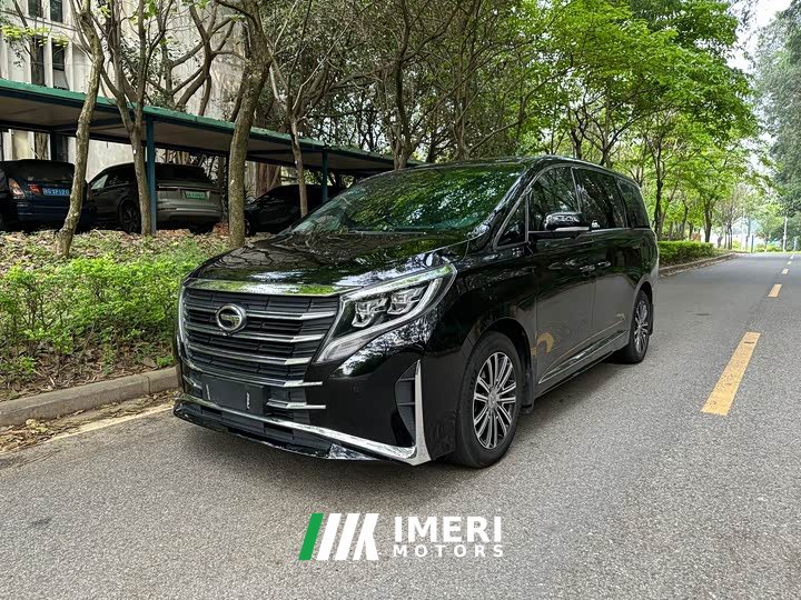 GAC Trumpchi M8 Master Edition 390T Supreme - автомобиль из Китая