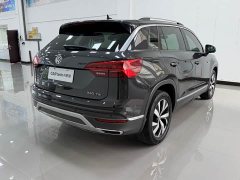 Lexus Tanyue 2020 330TSI two-wheel drive luxury intelligent version - фото 8