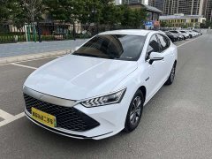 BYD Qin PLUS Honor Edition DM-i 55KM Leading Type - фото 1