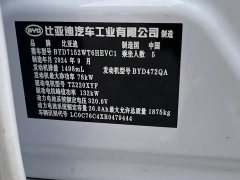 BYD Qin PLUS Honor Edition DM-i 55KM Leading Type - фото 13