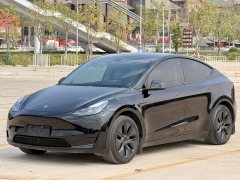 Tesla Model Y 2023 rear-wheel drive version - фото 1