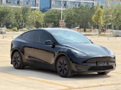 Tesla Model Y 2023 rear-wheel drive version - фото 2