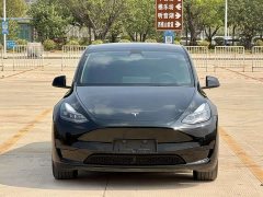 Tesla Model Y 2023 rear-wheel drive version - фото 3