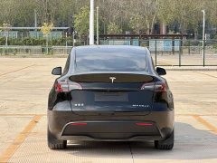 Tesla Model Y 2023 rear-wheel drive version - фото 4