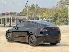 Tesla Model Y 2023 rear-wheel drive version - фото 6