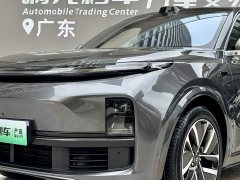 Li Auto Ideal L9 Ultra - фото 20