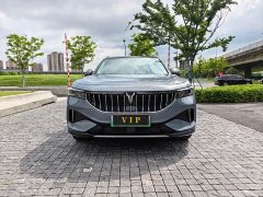 Voyah Lantu FREE four-wheel drive standard extended range exclusive luxury package - фото 3