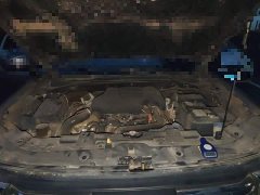 Haval H5 2023 2.0T manual four-wheel drive returns customized version diesel - фото 16