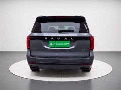 Haval H5 2023 2.0T manual four-wheel drive returns customized version diesel - фото 3