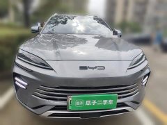 BYD Song PLUS NEV 2023 Champion Edition DM-i 110KM Flagship PLUS - фото 2