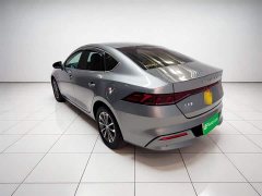 BYD Qin PLUS Honor Edition DM-i 55KM Leading Type - фото 4