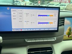 Lexus Zhiji LS6 extended range 52 Max - фото 9