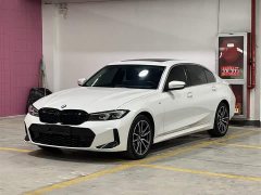 BMW 3 Series 320Li M Sport Package - фото 1