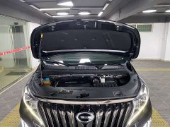 GAC Trumpchi M8 2021 Master Series 390T Premium Edition - фото 10