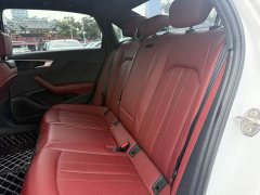 Audi A4L 40 TFSI Bang&Olufsen Starry Night Edition - фото 10