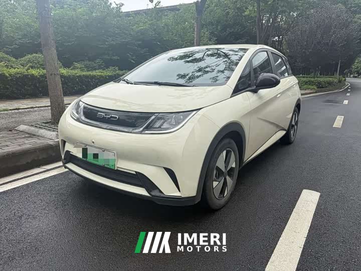 BYD Dolphin 2023 420km Free Edition - автомобиль из Китая