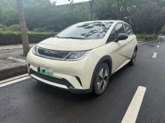 BYD Dolphin 2023 420km Free Edition - фото 1