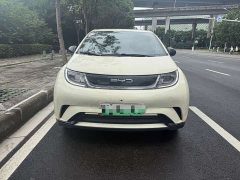 BYD Dolphin 2023 420km Free Edition - фото 2