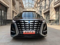 Denza D9 DM-i 970 four-wheel drive flagship - фото 3